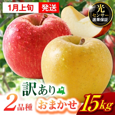 【2027年1月上旬発送】 【訳あり】旬の美味しいりんご 約15kg 青森産 【おまかせ2品種】