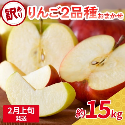【2026年2月上旬発送】 【訳あり】旬の美味しいりんご 約15kg 青森産 【おまかせ2品種】