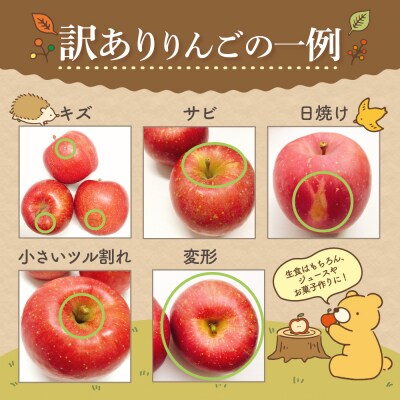 【2026年6月上旬発送】【訳あり】りんご15kg有袋ふじ スマフレTM貯蔵またはCA貯蔵・クール便