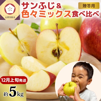 【2026年12月上旬発送】りんご 青森産 約5kg 津軽から完熟サンふじ&色々ミックス 贈答用