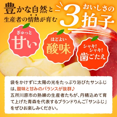 【2027年1月上旬発送】【訳あり】 りんご 約10kg サンふじ 青森県産