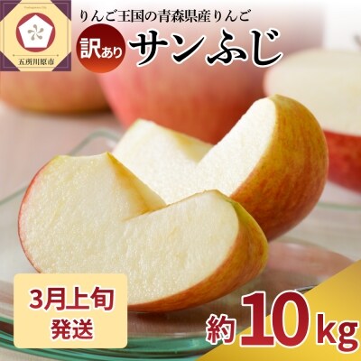 【2024年3月上旬発送】【訳あり】りんご約10kgサンふじ青森産