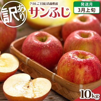 【2027年3月上旬発送】【訳あり】 りんご 約10kg サンふじ 青森県産
