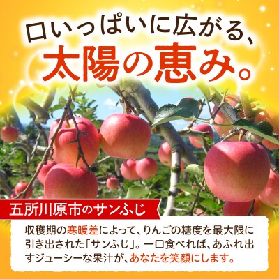 【2027年3月上旬発送】【訳あり】 りんご 約10kg サンふじ 青森県産