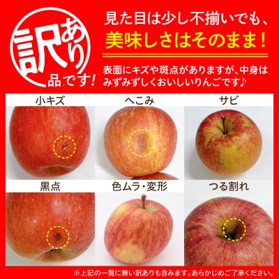 【2027年3月上旬発送】【訳あり】 りんご 約10kg サンふじ 青森県産