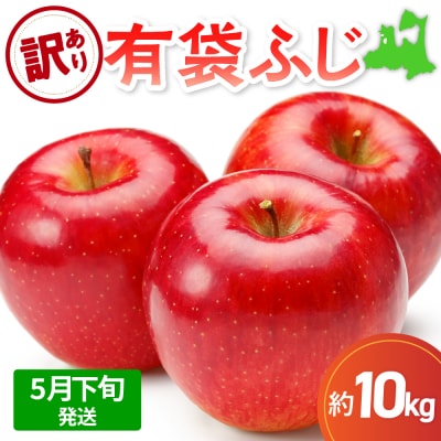 【2026年5月下旬発送】【訳あり】りんご10kg有袋ふじ スマフレTM貯蔵またはCA貯蔵・クール便