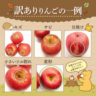 【2026年6月下旬発送】【訳あり】りんご10kg有袋ふじ スマフレTM貯蔵またはCA貯蔵・クール便