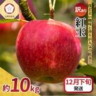 【2025年12月下旬発送】【訳あり】 りんご 10kg 紅玉 アップルパイ に最適 青森 不揃い