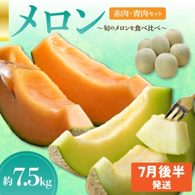 【2025年7月後半発送】【秀～優品】津軽平野 メロン 約7.5kg程度 赤肉・青肉セット 4～8玉