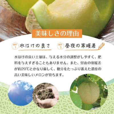 【2026年7月後半発送】【秀～優品】津軽平野 メロン 約7.5kg程度 赤肉・青肉セット 4～8玉