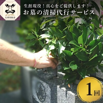 お墓の清掃代行サービス(1回分)