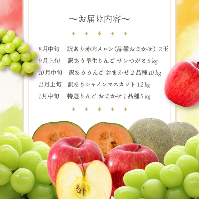 【2025年8月発送開始】フルーツ 定期便 5回 りんご たっぷり セット 訳あり品含む