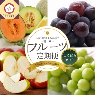 【7月発送開始】フルーツ定期便 5回 よくばりセット【訳あり】メロン ぶどう マスカット りんご