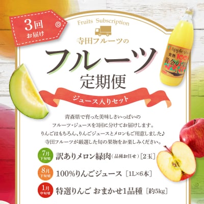 【7月発送開始】おいしい3種類 ☆ フルーツ定期便 【3回】 りんごジュース メロン りんご
