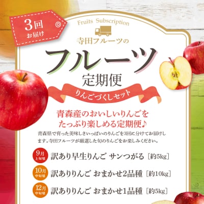 【9月発送開始】 フルーツ定期便 3回 【訳あり】 りんごづくしセット