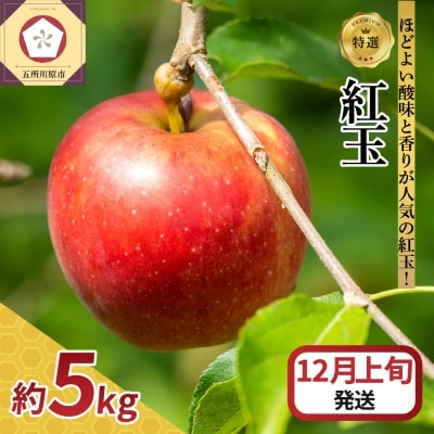 【2026年12月上旬発送】 【特選】りんご 5kg 紅玉 青森