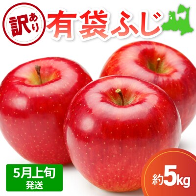 【2026年5月上旬発送】【訳あり】りんご有袋ふじ5kg(スマフレTM貯蔵又はCA貯蔵・クール便)