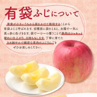 【2026年5月下旬発送】【訳あり】りんご有袋ふじ5kg(スマフレTM貯蔵又はCA貯蔵・クール便)