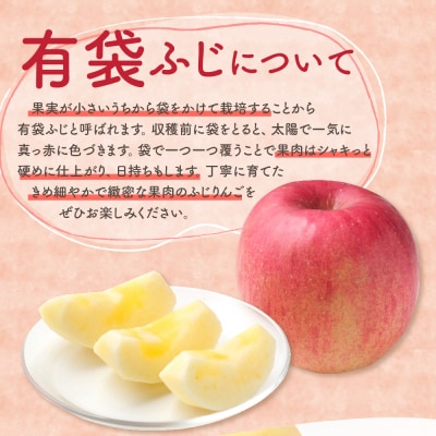 【2026年6月下旬発送】りんご有袋ふじ3kg特選 スマートフレッシュ貯蔵またはCA貯蔵・クール便