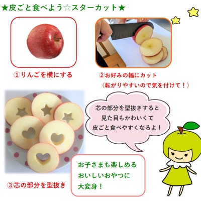 【2026年4月上旬発送】春のサンふじ りんご 約5kg 【特選】 スマートフレッシュ™貯蔵 贈答用