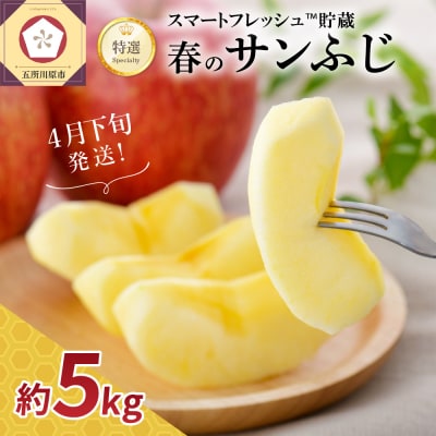 【2026年4月下旬発送】春のサンふじ りんご 約5kg 【特選】 スマートフレッシュ™貯蔵 贈答用