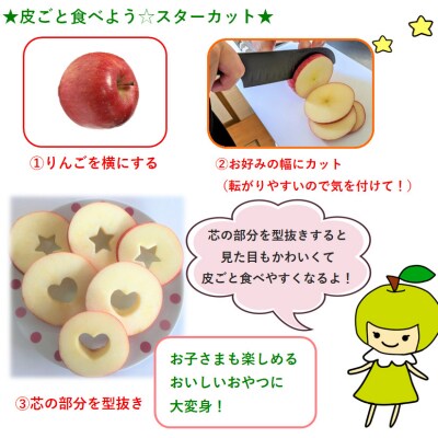 【2026年4月下旬発送】春のサンふじ りんご 約5kg 【特選】 スマートフレッシュ™貯蔵 贈答用