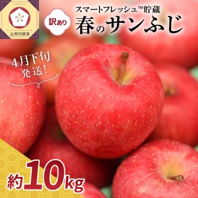 【2026年4月下旬発送】春のサンふじ りんご 約10kg【訳あり】スマートフレッシュTM貯蔵