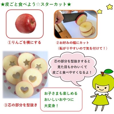 【2026年4月下旬発送】特選りんご5kg 春の丸かじりサンふじ スマートフレッシュ™又はCA貯蔵