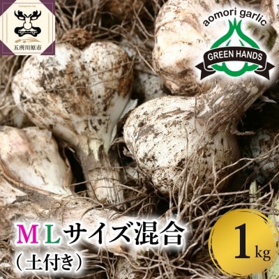 【2026年6月下旬発送開始】掘りたて 生にんにく 青森県産 MLサイズ混合 1kg(土つき)