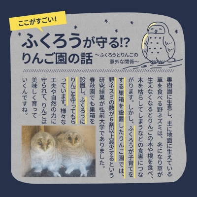 【12月上旬より順次発送】　頑固おやじのこだわりが詰まったりんごジュース3本セット