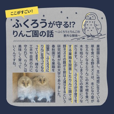 頑固おやじのこだわりが詰まったりんごジュース3本セット 青森 五所川原