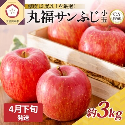22年4月下旬発送 Ca貯蔵 冷た い可愛い小玉サイズりんご 丸福サンふじ青森産 約3kg お礼品詳細 ふるさと納税なら さとふる