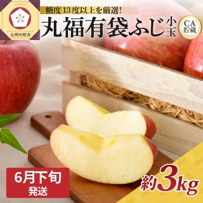 23年6月下旬発送 Ca貯蔵冷た い可愛い小玉サイズりんご丸福有袋ふじ青森産約3kgクール便 お礼品詳細 ふるさと納税なら さとふる