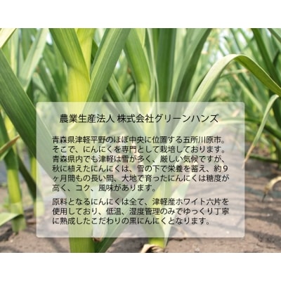 【定期便 3ヶ月】【訳あり】 青森 県 産 熟成 黒にんにく バラ 500g 五所川原市