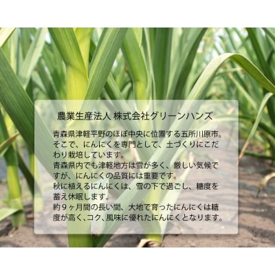 【先行受付】【8月下旬より順次発送】にんにく　青森県産にんにく(特選品)Lサイズ1kg
