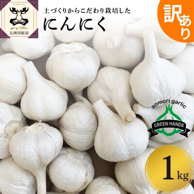 【8月中旬より順次発送】【訳あり】青森県産にんにく1kg 青森県 五所川原市