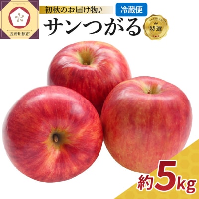【9月発送】【特選】 りんご 5kg サンつがる 青森 【2026年 リンゴ 林檎 果物 フルーツ】