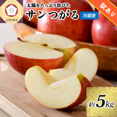 【9月発送】 訳あり りんご 5kg サンつがる 青森県産【2026年 リンゴ 林檎 果物】 