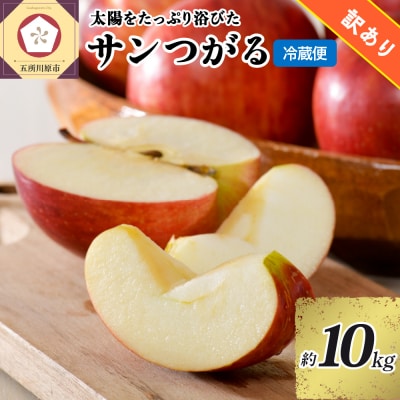 【9月発送】 訳あり りんご 10kg サンつがる 青森県産 【2026年 リンゴ 林檎 果物】