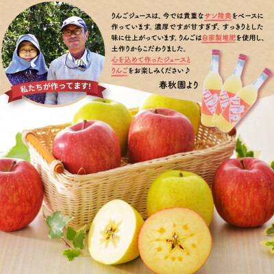 【 2025年 先行受付 9月 発送開始】 りんご リンゴジュース 定期便 4回 セット 