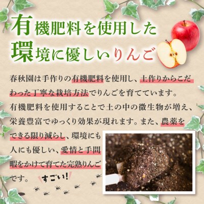 【 2026年 先行受付 9月 発送開始】 りんご リンゴジュース 定期便 4回 セット 