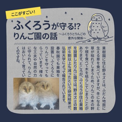 【 2026年 先行受付 9月 発送開始】 訳あり りんご リンゴジュース 定期便 4回 セット 