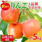 【2025年10月上旬発送】【訳あり】旬の美味しい りんご 約5kg 青森 産 【おまかせ1品種】