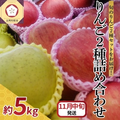 【2026年11月中旬発送】 りんご 5kg サンふじ 王林 他 紅白 詰め合わせ 青森