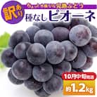 【2025年10月中旬発送】 【訳あり】ぶどう ピオーネ 種なし 1.2kg程度 (小振り・2房)