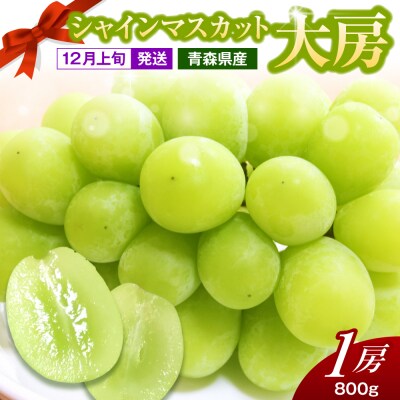 【2026年12月上旬発送】 シャインマスカット 大房 800g 青森産