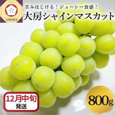 【2025年12月中旬発送】 シャインマスカット 大房 800g 青森産