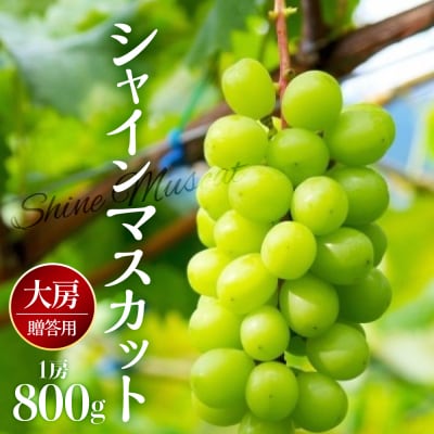 【2026年12月中旬発送】 シャインマスカット 大房 800g 青森産