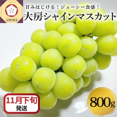 【2025年11月下旬発送】 シャインマスカット 大房 800g 青森産
