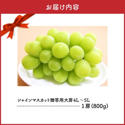 【2026年11月中旬発送】 シャインマスカット 大房 800g 青森産